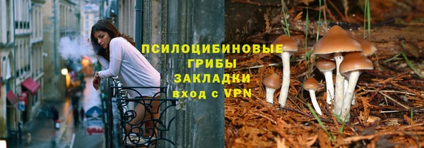бошки Переславль-Залесский