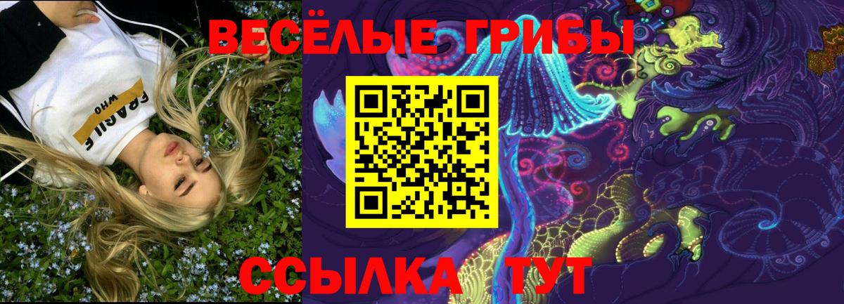 Псилоцибиновые грибы GOLDEN TEACHER Тихвин